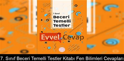 beceri temelli testler 7 sınıf cevap anahtarı